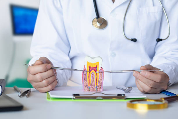 Best Emergency Dental Care for Abscessed Tooth in Brook Highland, AL